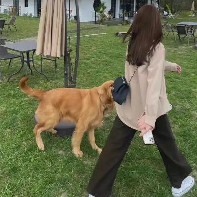 正气凛然